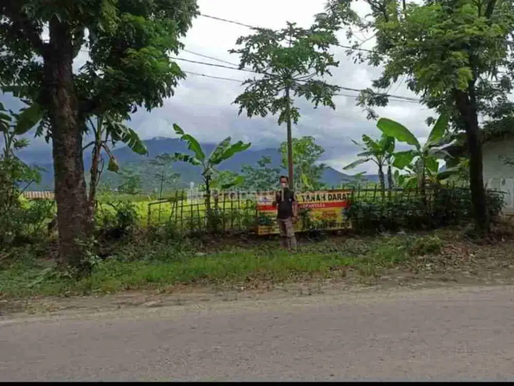tanah murah‼️ bawah pasar‼️ + 6 ha ‼️ tanjungsari Cariu bogor