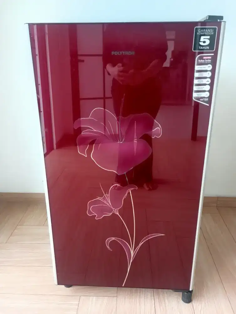 POLYTRON PRO 15GO/LIKE A NEW/REFRIGERATOR