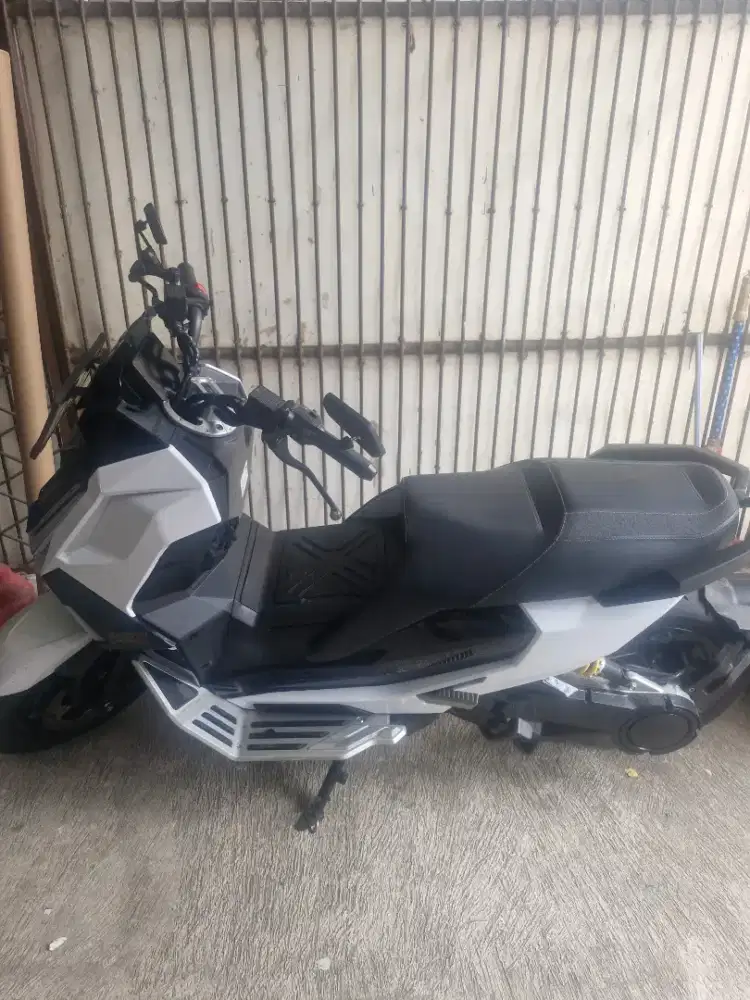 Alva cervo Q 2024 bln desember