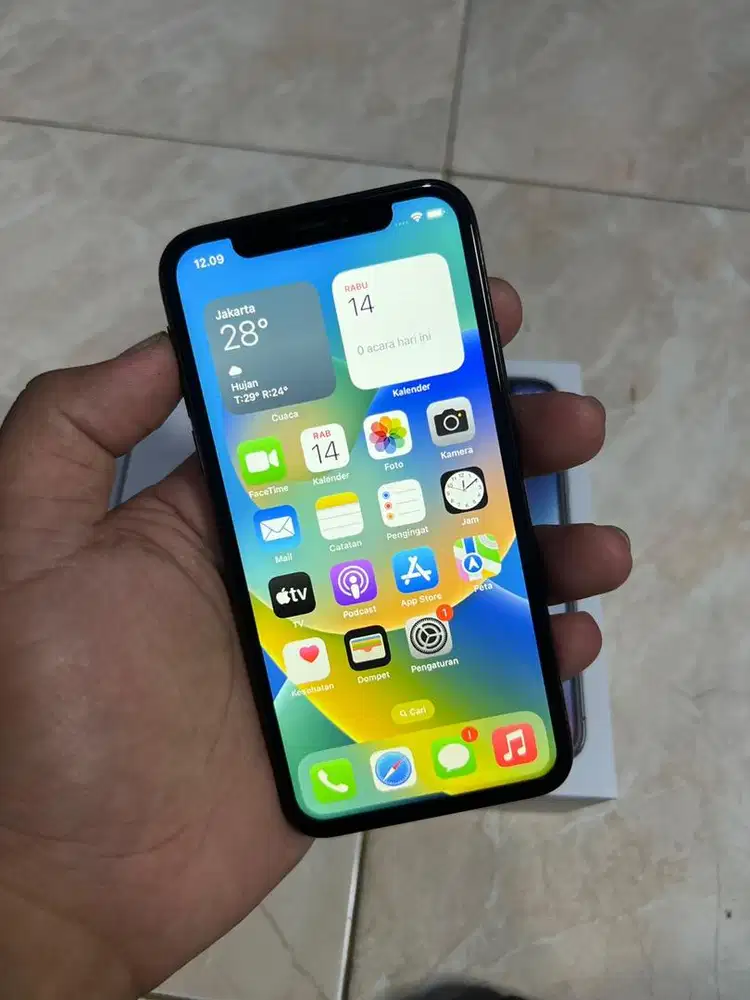 Iphone X 256 GB