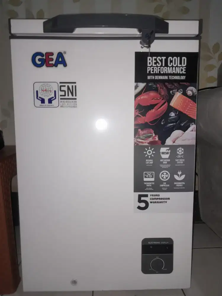 GEA FREEZER 100LT