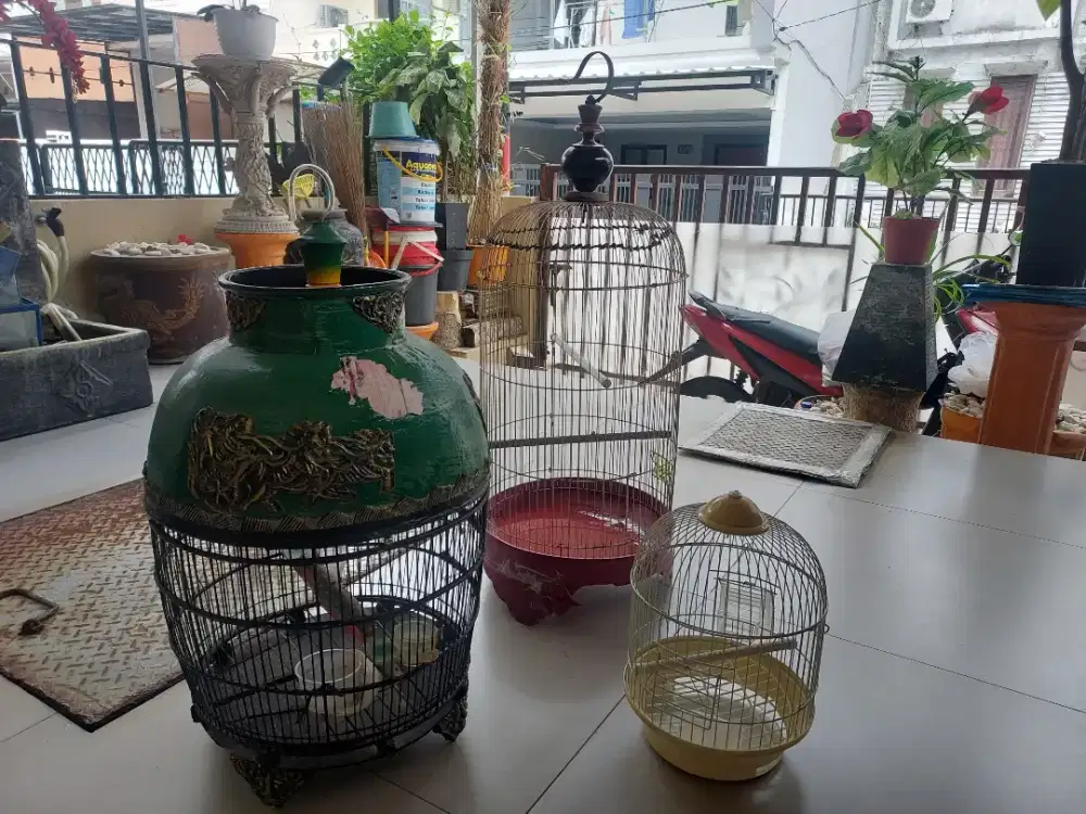 3 kandang burung
