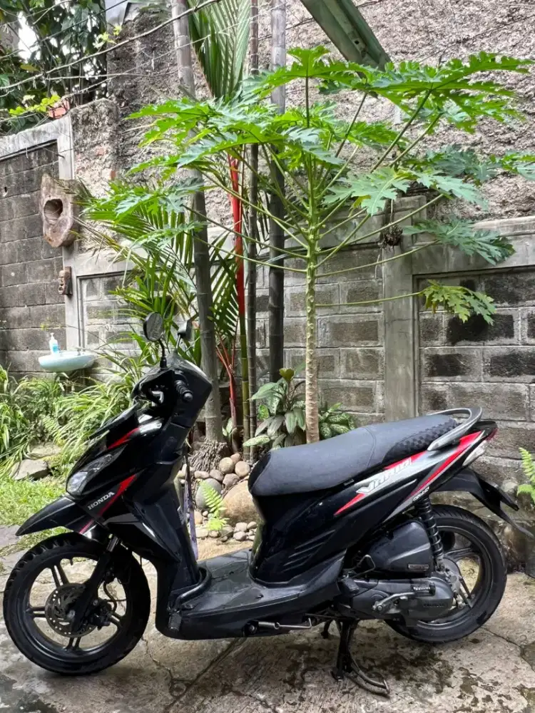 Vario 110esp 2018