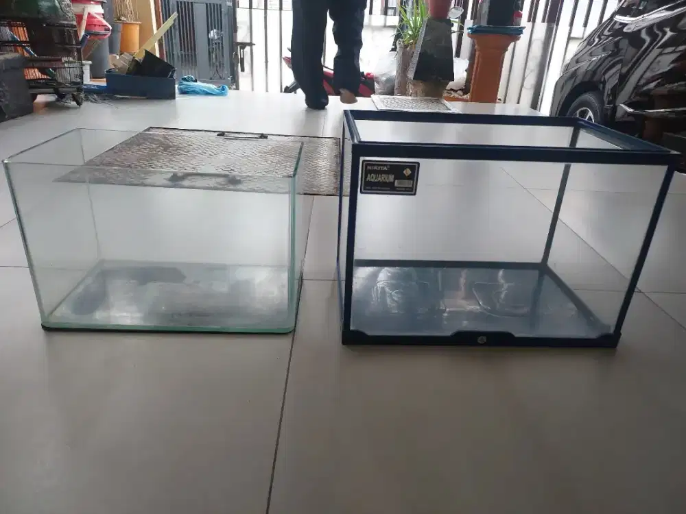 2 akuarium kecil