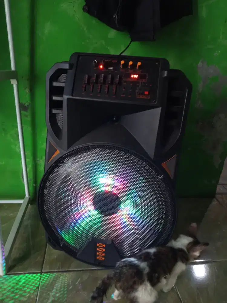 Speaker advance k1506 karaoke