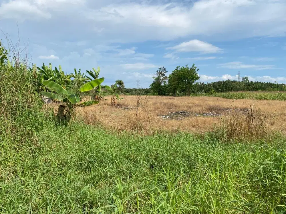 jual murah tanah dalam kota makassar 4 hektar