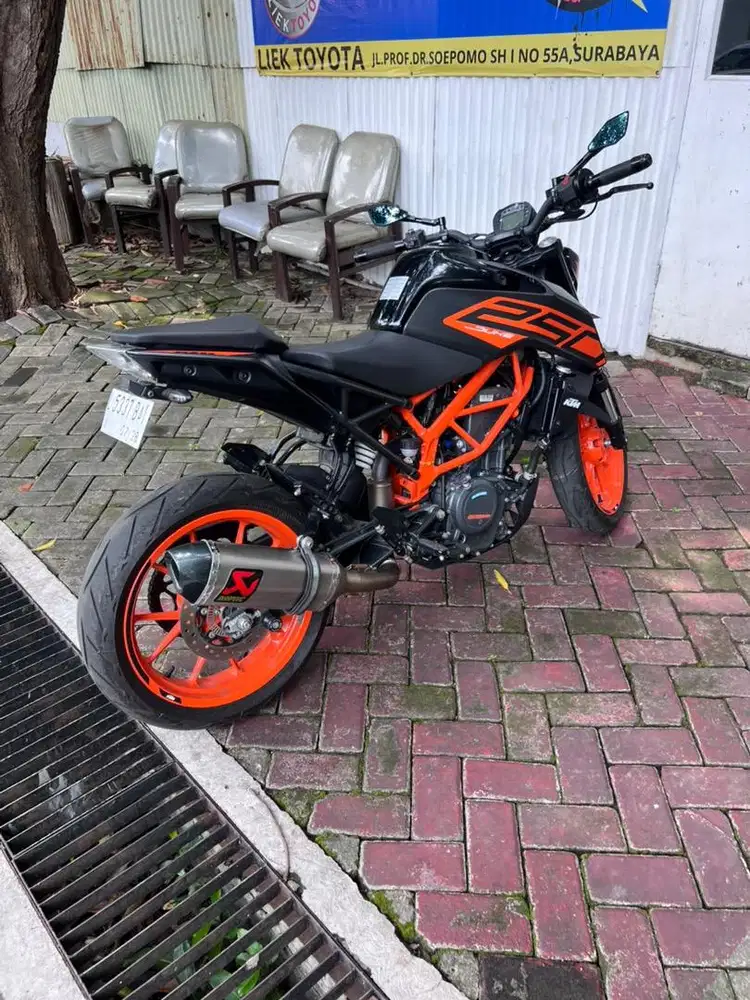 Duke 250 model naked