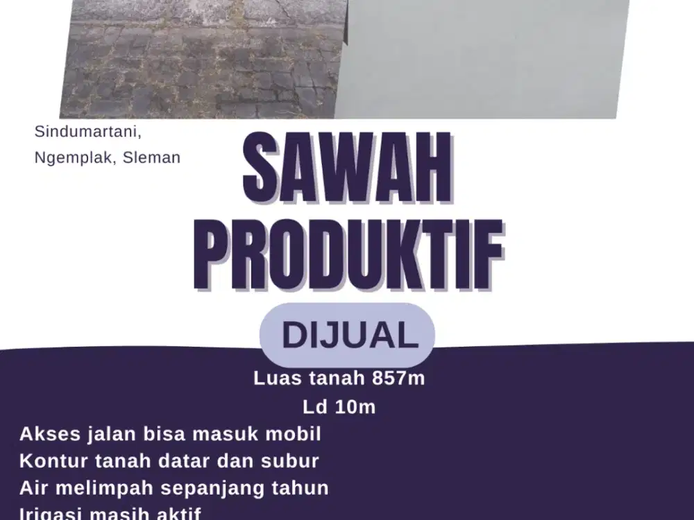 MURAH! SAWAH DI SLEMAN HANYA 400 JUTAAN SAJA