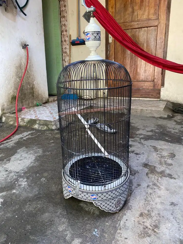 Jual sangkar lb