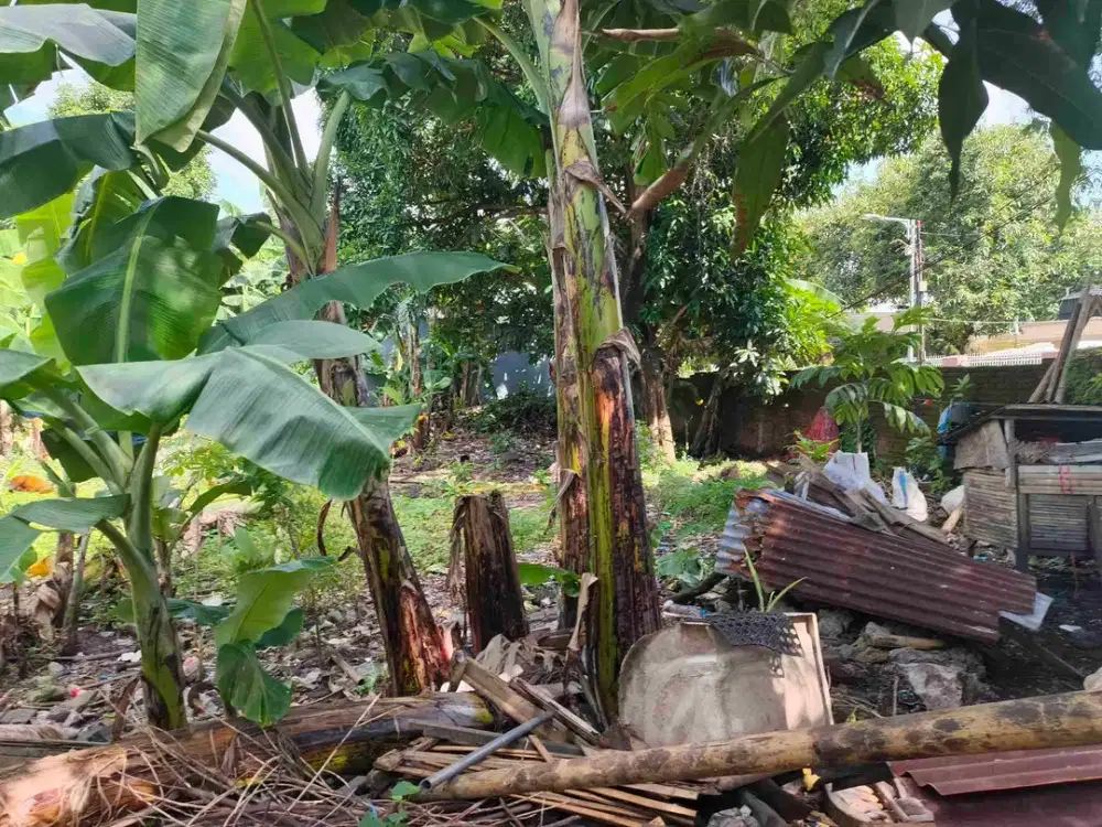 Jual Murah Tanah Tengah Kota Makassar