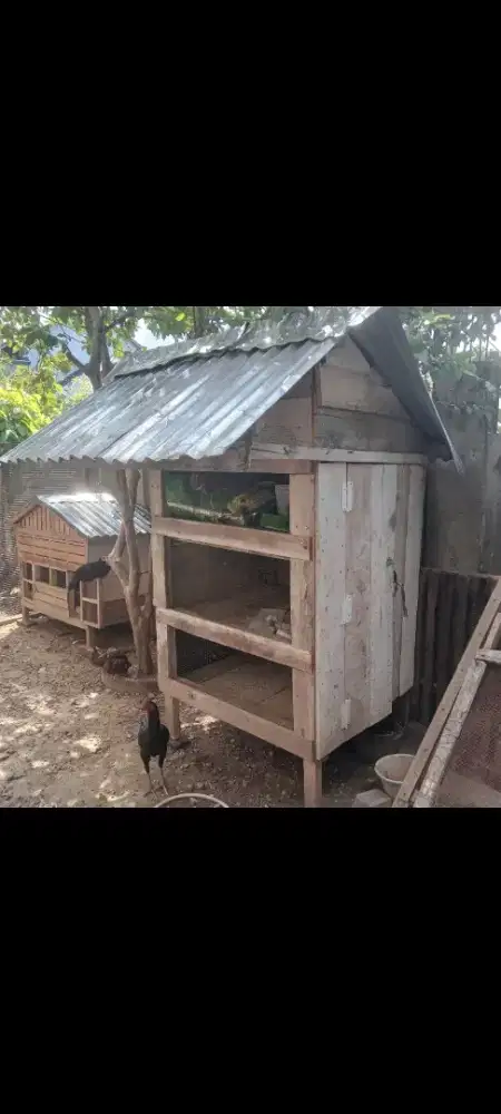 Dijual kandang anak ayam 3 tingkat.