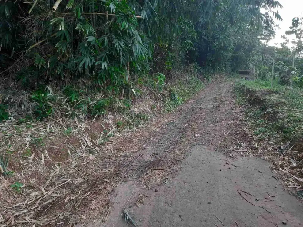 Dijual kebun murah 2.5 Ha Harga 35rb/m2 Sagala herang Subang