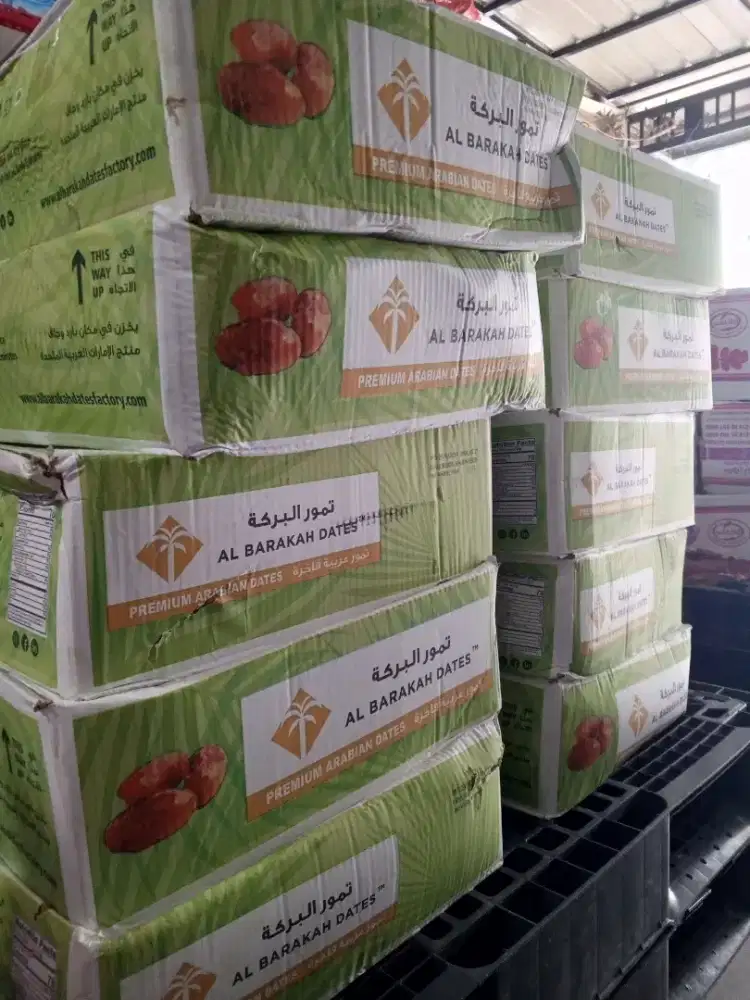 KURMA khalas uni emirat arab