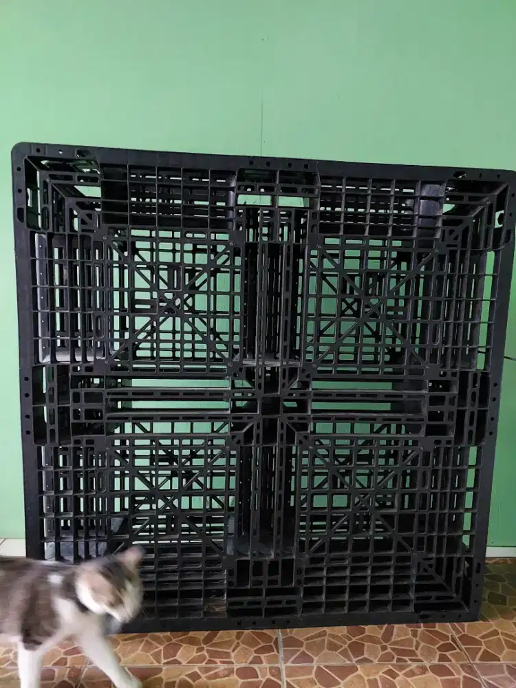 palet plastik bekas