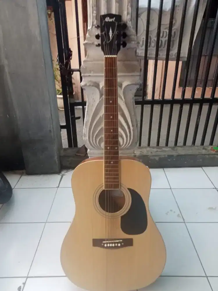 Gitar cort elektrik