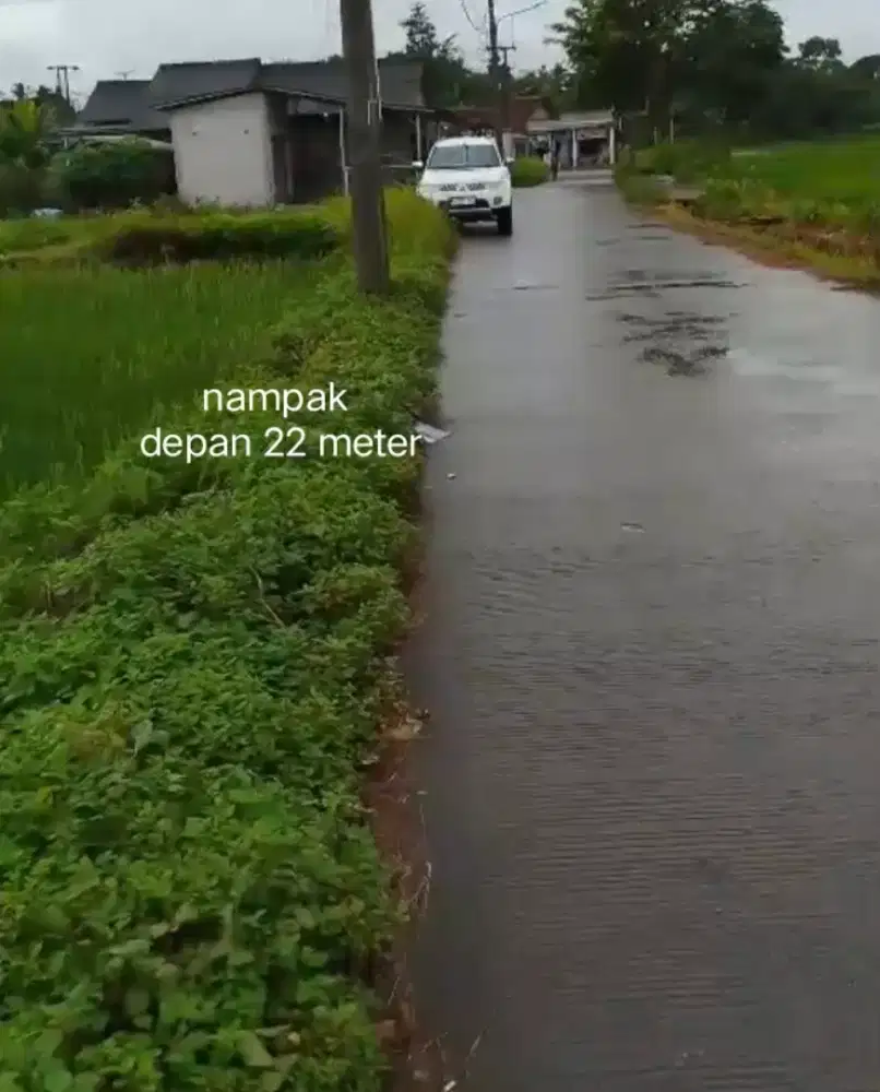 dijual cepat satu petak sawah