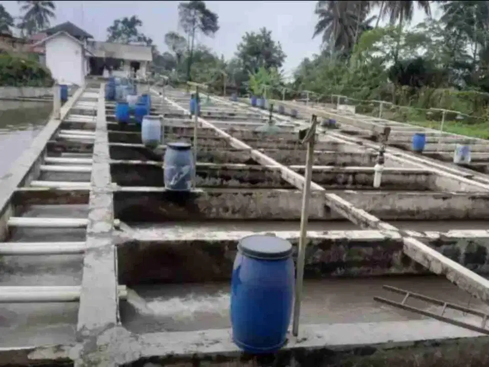 Dijual Kolam ikan air deras 30 jalur Cijambe Subang