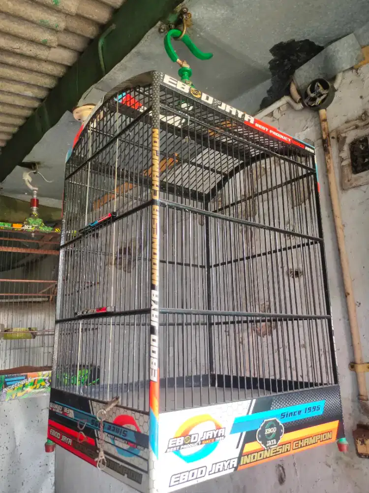 Kandang Burung kotak no 2