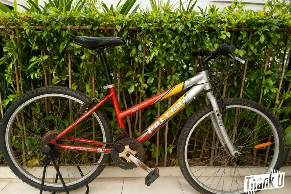 Sepeda gunung polygon monarch ladys