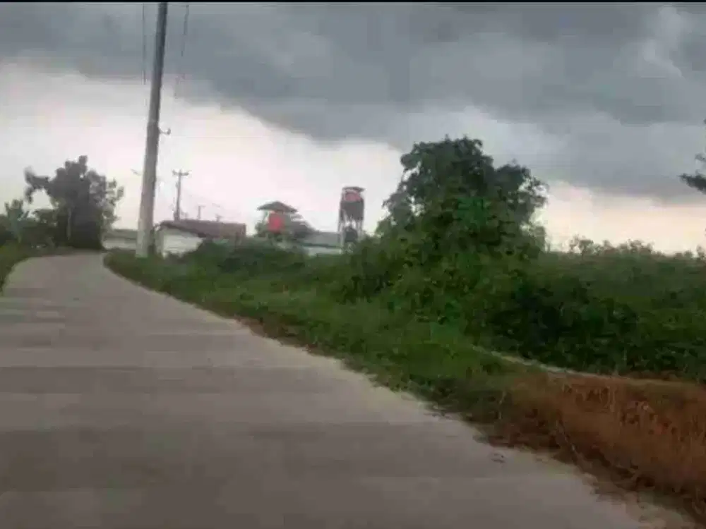 Tanah 10.000 m2 untuk Ternak ayam & Ijin ternak