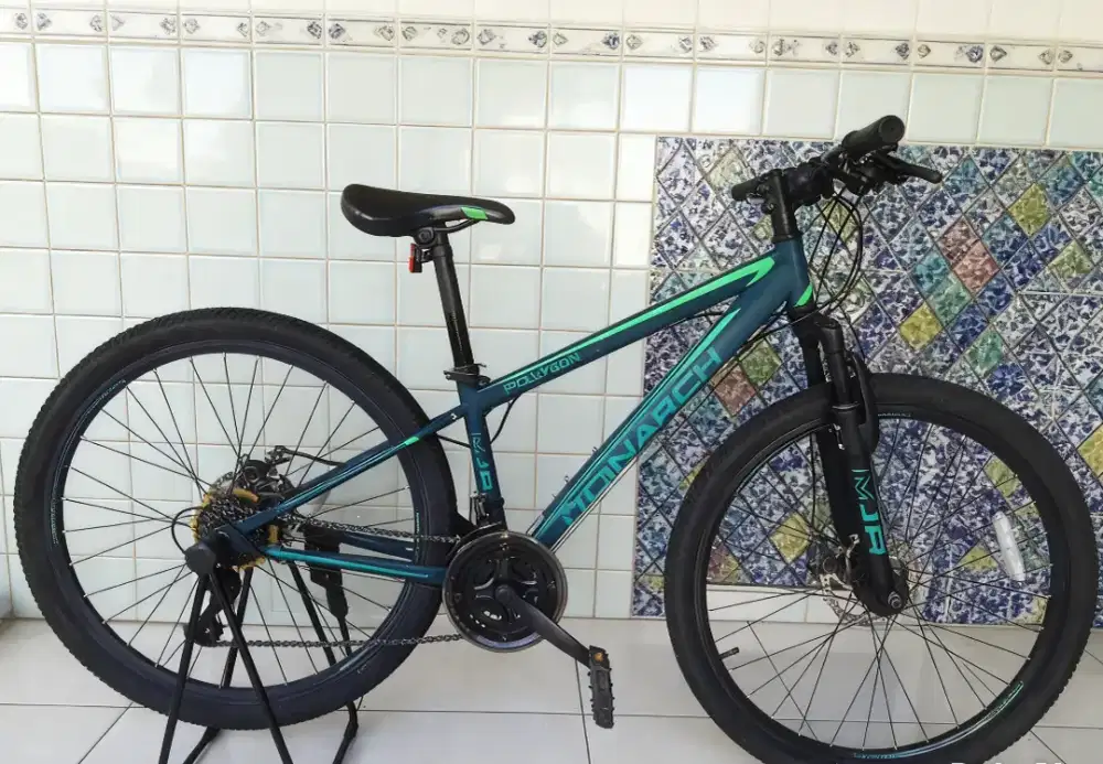 Sepeda gunung MTB Polygon Monarch junior