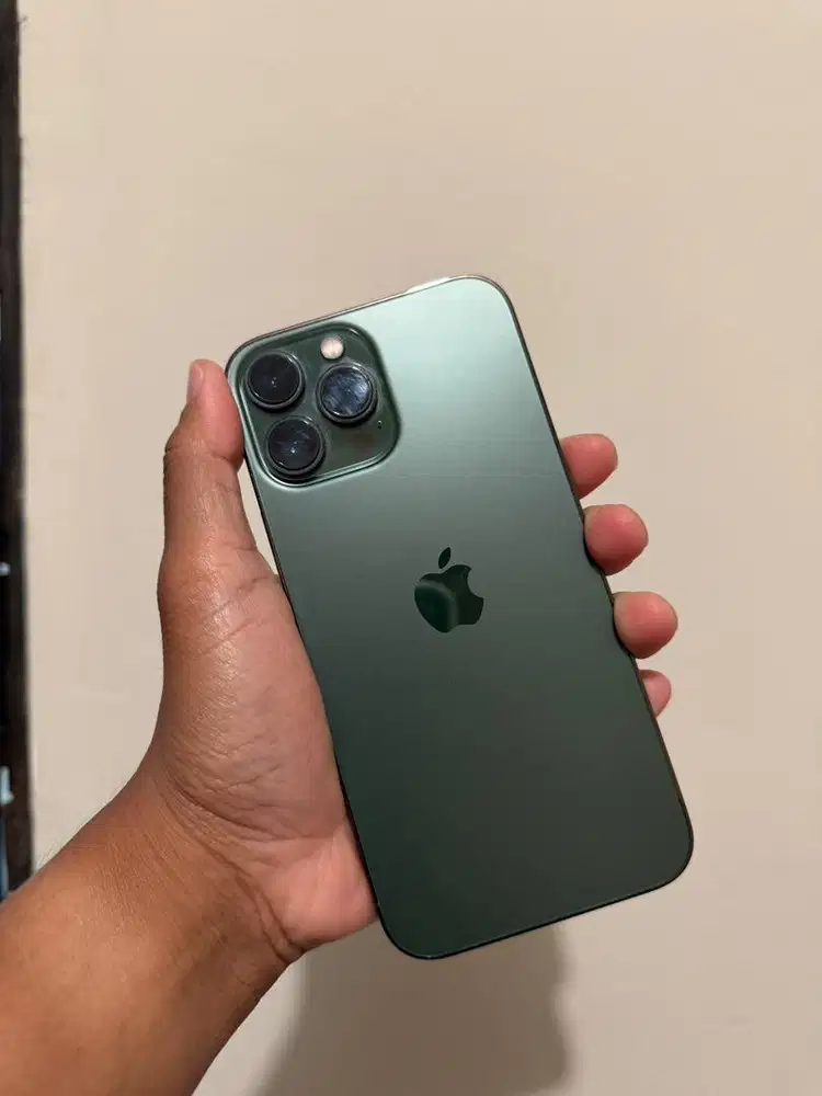 iPhone 13 Pro Max 256GB Hijau