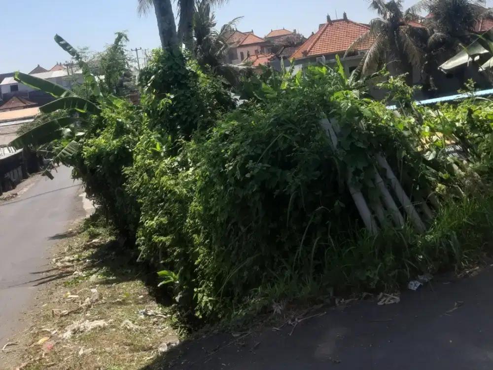 Dijual Tanah Strategis di Jalan Pasekan, Batubulan, Sukawati, Gianyar, Bali.