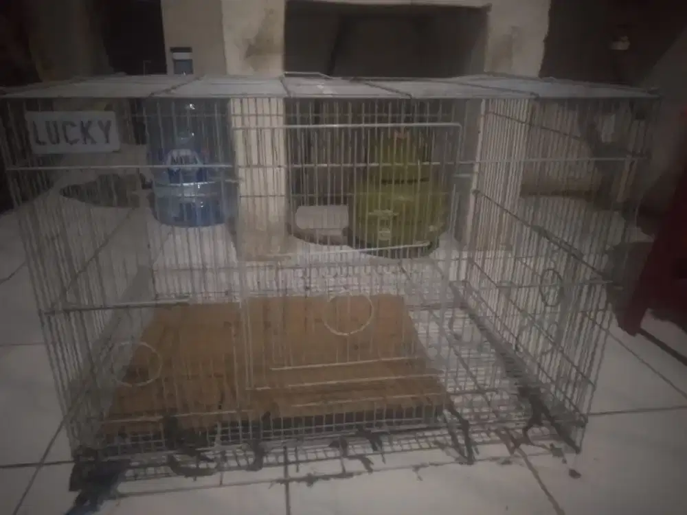 Kandang kucing 60 x 40