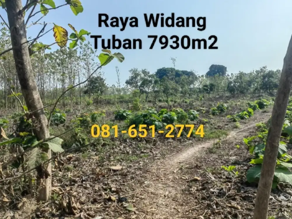 Tanah Industri Tuban