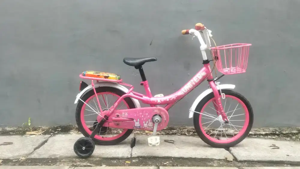 Sepeda anak united