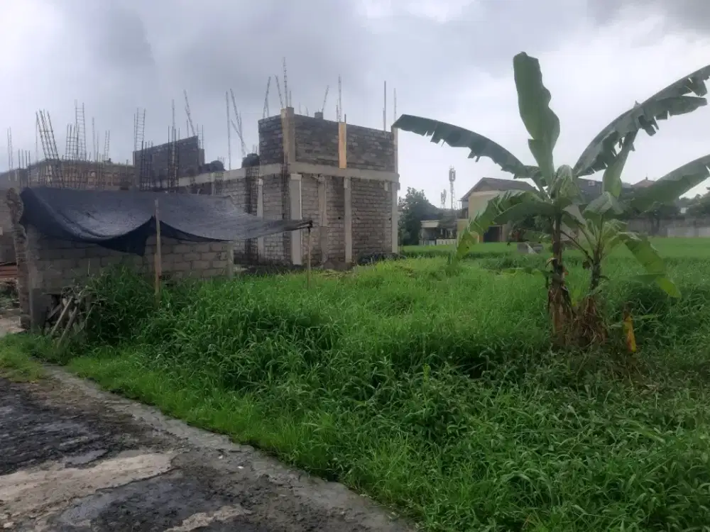 Dijual Tanah Strategis di Gang Bangau, Batubulan, Sukawati, Gianyar, Bali.