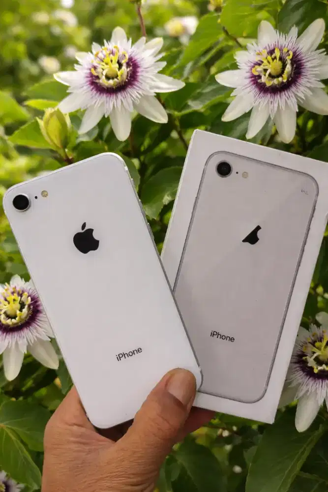 Iphone 8 64gb Mulus Fullset