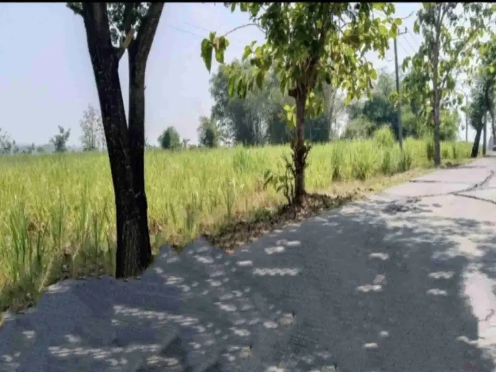 Tanah Industri Mojokerto Kemlagi