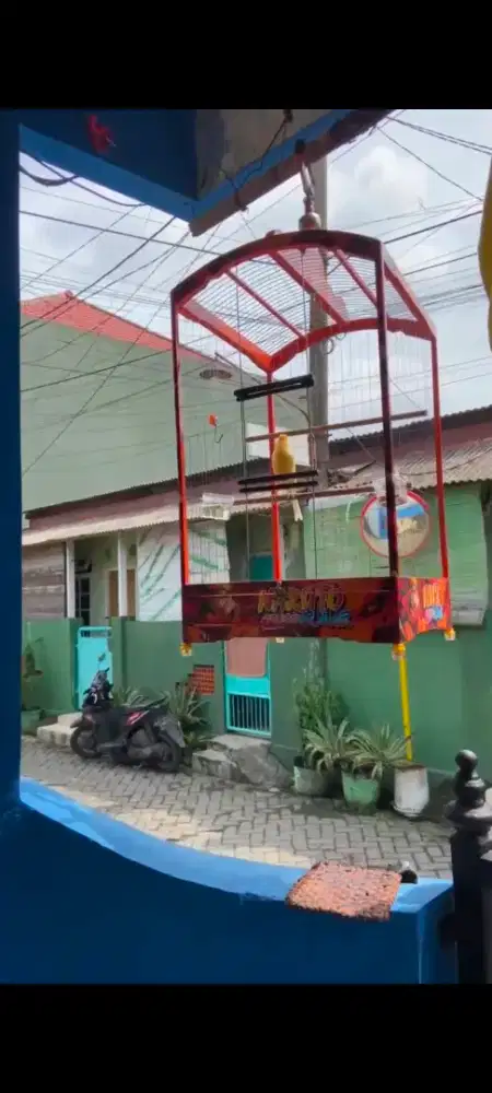 Sangkar kenari ruji senar