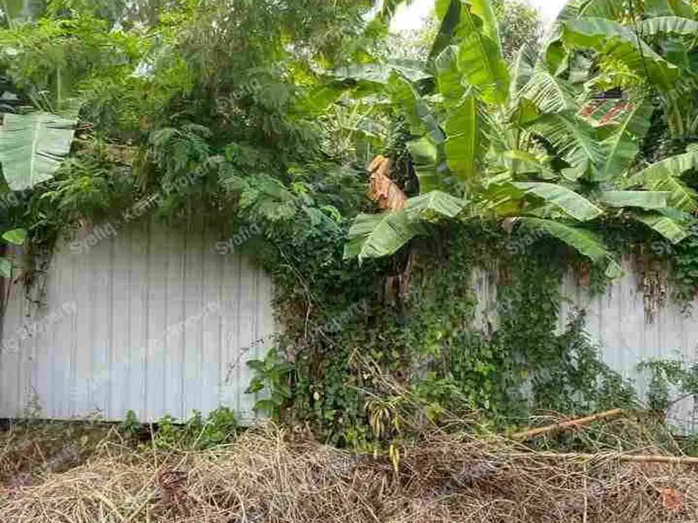 tanah siap bangun di gayung sari timur