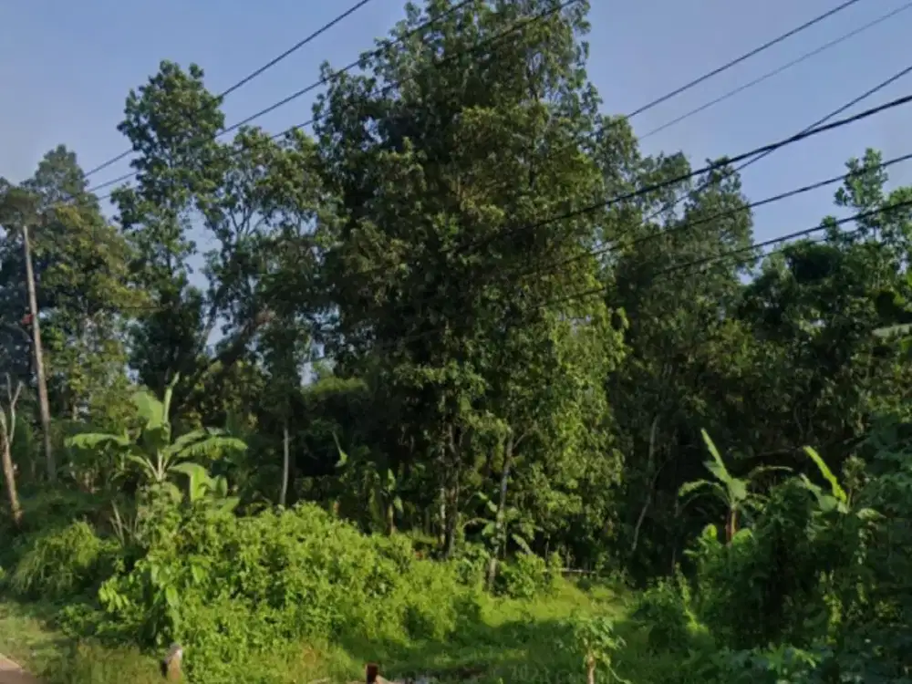 Jual Cepat Tanah Tenjo Pinggir Jalan Strategis Kab. Bogor Tenjo, Kab. Bogor, Jawa Barat