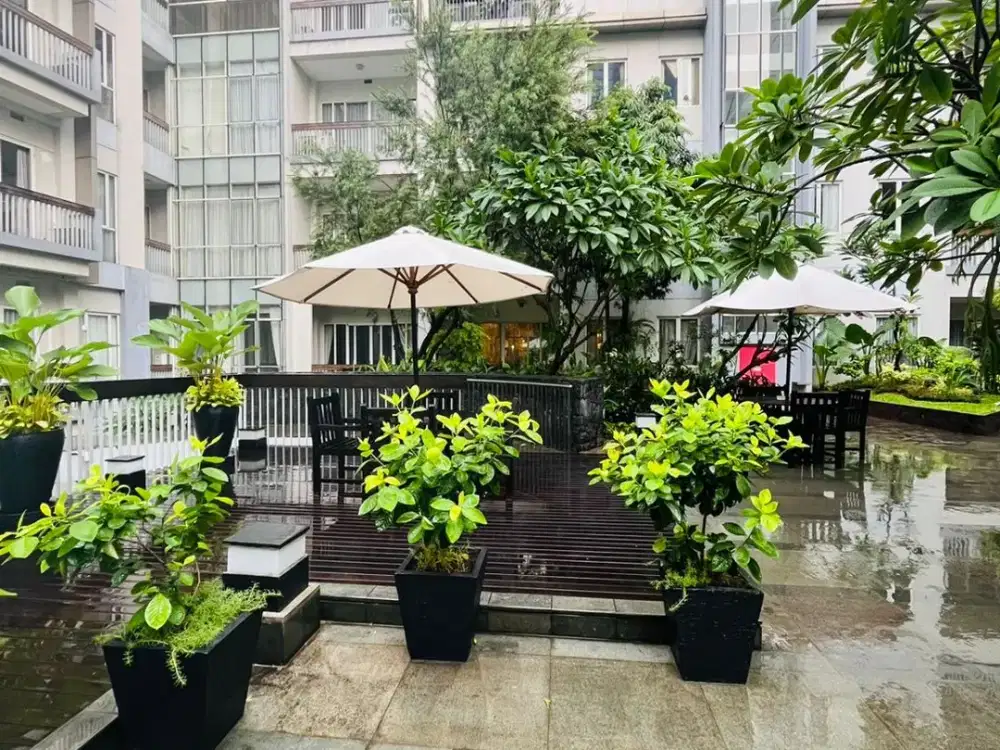 Apartemen Pearl Garden 3 BR Gatot Subroto Semanggi Jakarta Selatan