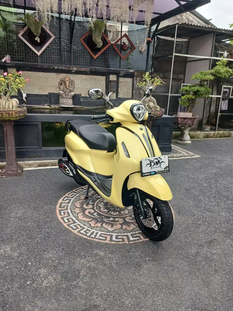 Filano neo 2024 super mulus