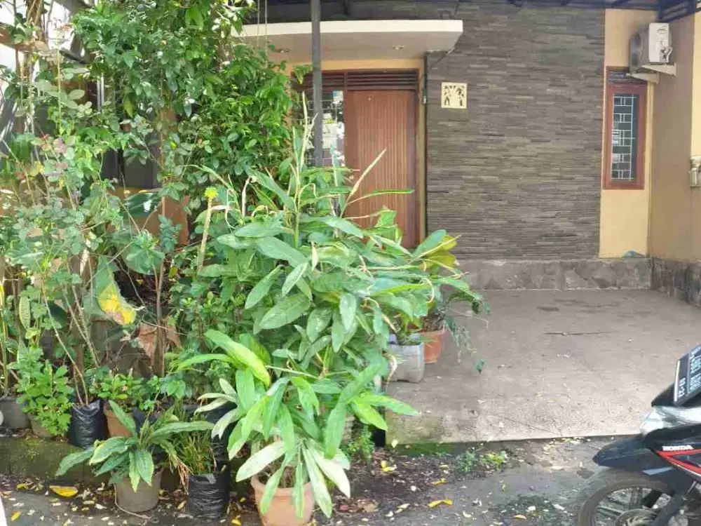 Disewakan Rumah Siap Huni di Sayap Pasteur