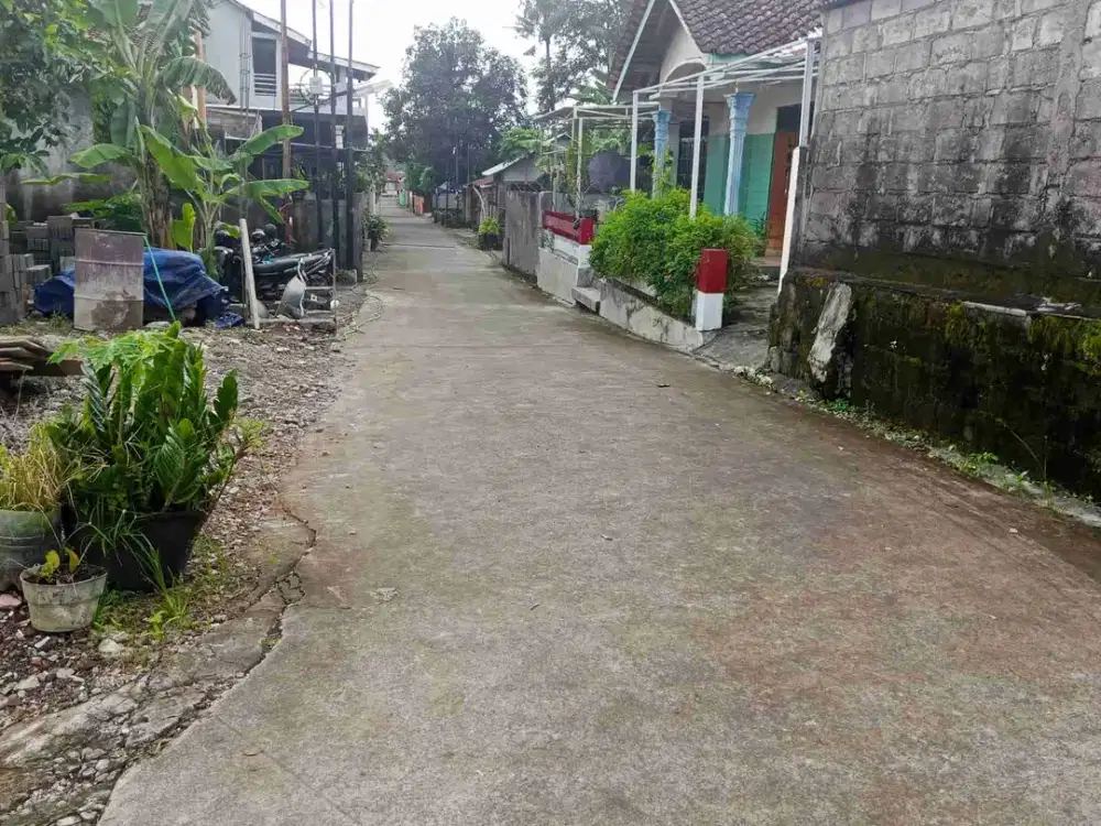 Jual Pekarangan Kalasan Dekat Sego Wiwit