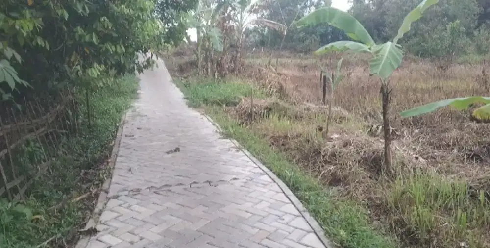 dijual cepat tanah kosong kampung