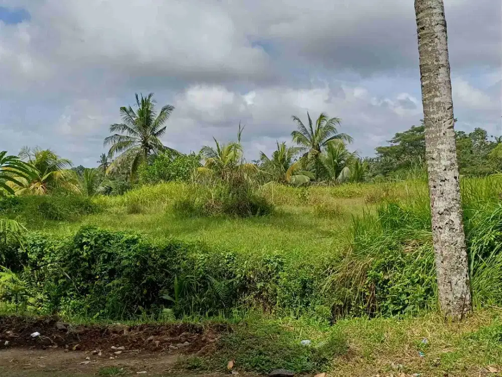 di jual tanah cantik dan strategis  link vila