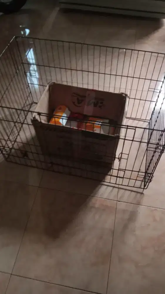 Kandang kucing. Anjing atau keinci