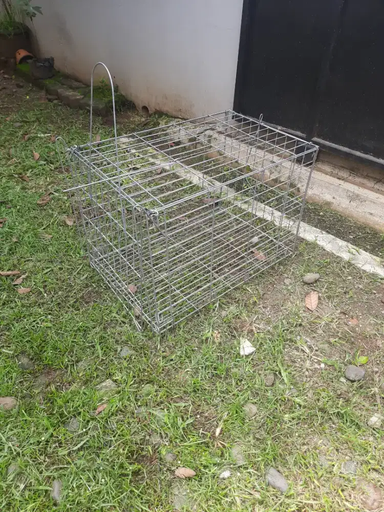 Perangkap Kucing/Musang dll