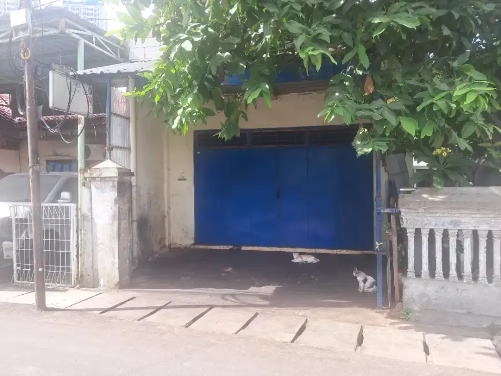 Disewakan Kios/Ruko dan Tempat Tinggal Satu Lantai