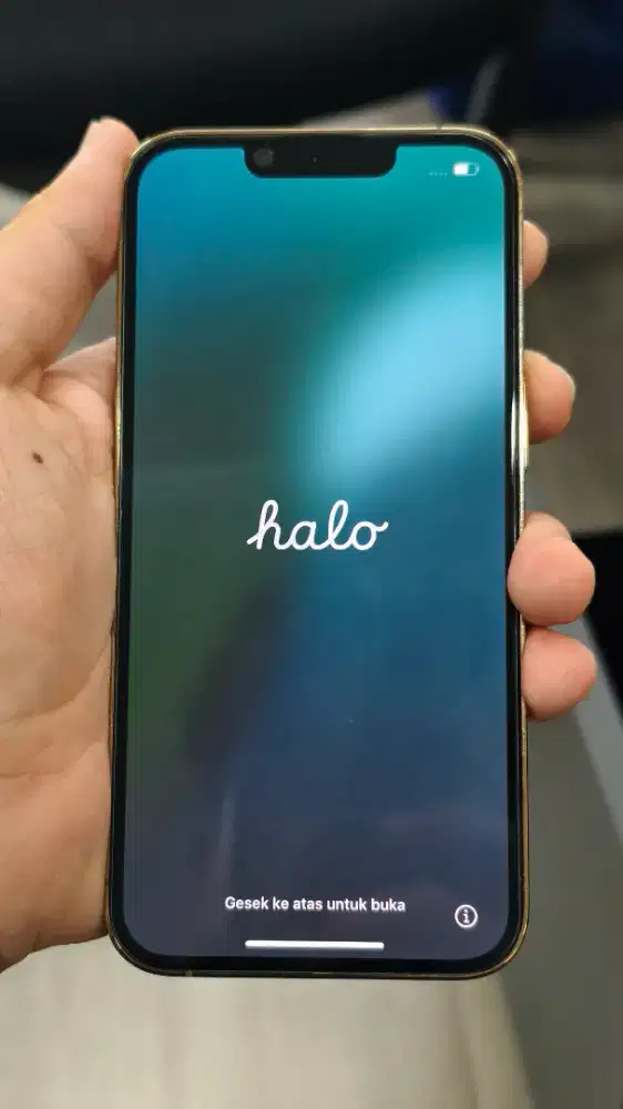 Iphone 13 Pro 256 Inter sinyal aman