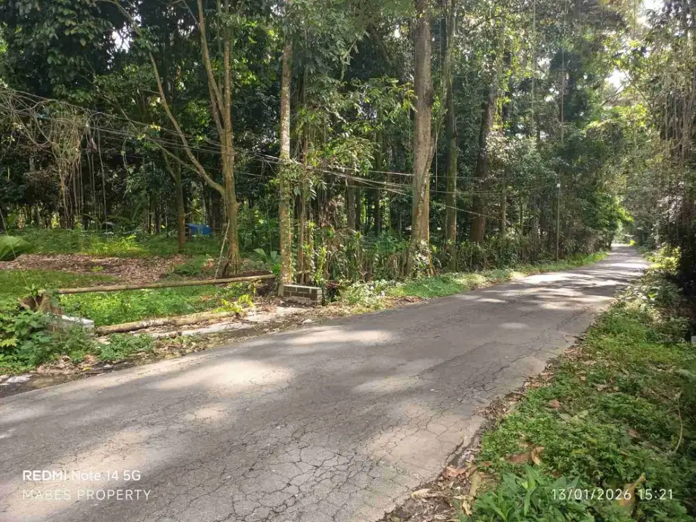 SUPER MURAH TANAH 2H KAWASAN KEBUN DURIAN CANDIMULYO MAGELANG