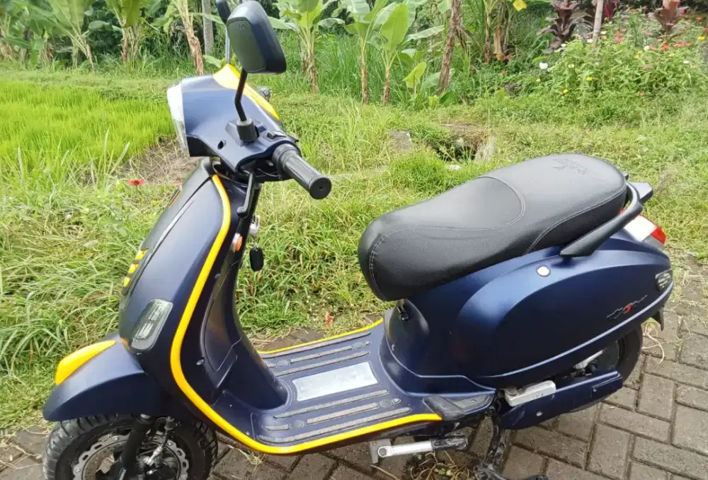 Motor listrik uwinfly t3s pro