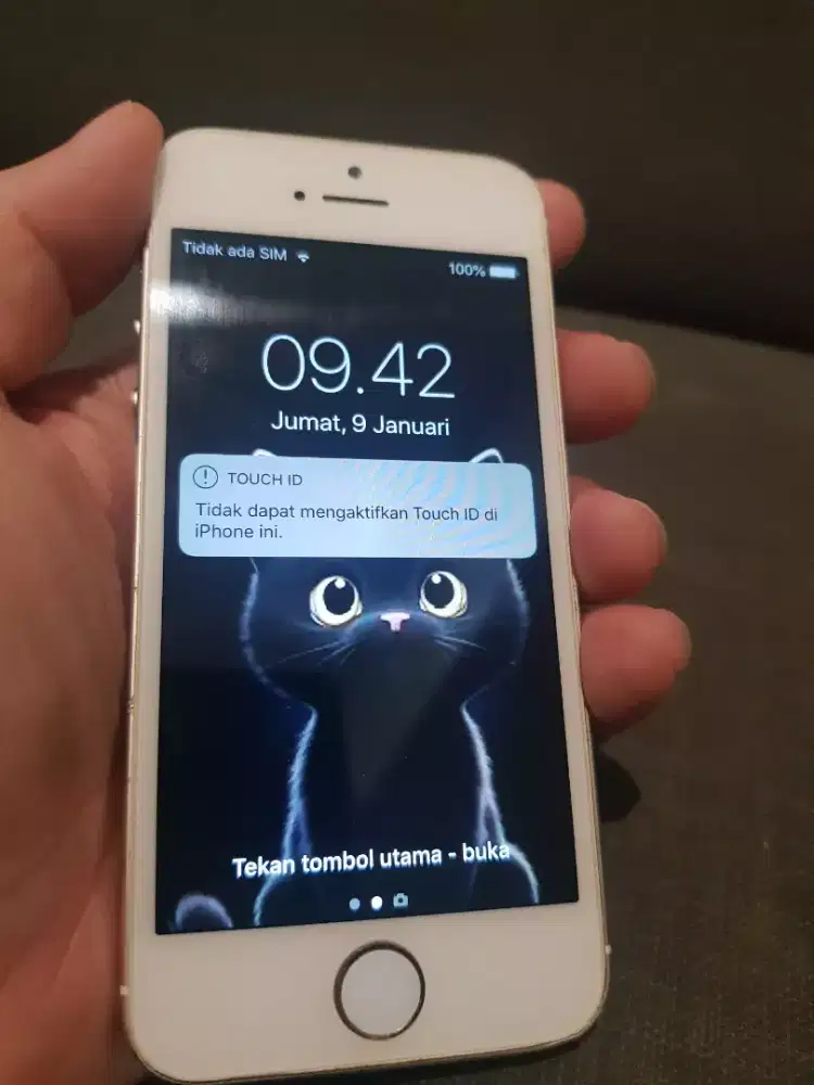 Iphone 5s Gold 16gb all operator