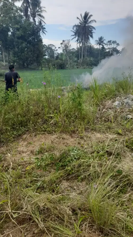 Jual Cepat Tanah SHM 190 m² Kayu 4 Sinayan